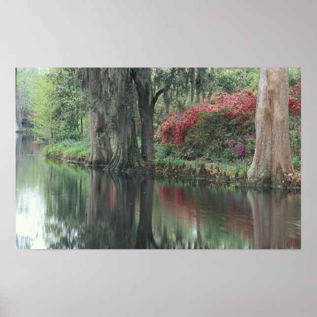 Poster Carolina do Sul, Charleston (Frente)