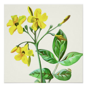 Pôster Carolina Jasmine Botanical Art