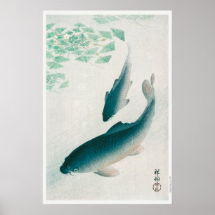 Poster Carp ou Koi (1926) apresentada por Ohara Koson