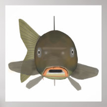 Carpa comum - Cabeça de peixe