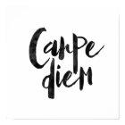 Carpe Diem