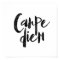 Carpe Diem