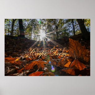 Poster Carpe Diem folhas coloridas brilhantes sunset da f