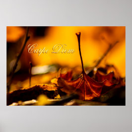 Poster Carpe Diem Personalizável com folha colorida