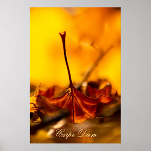 Poster Carpe Diem Personalizável com folha colorida