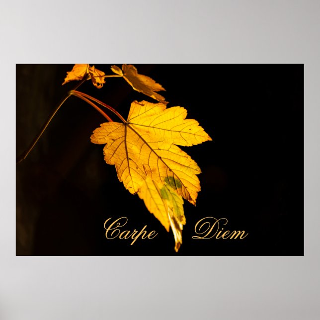 Poster Carpe Diem personalizável com folha colorida Poste (Frente)