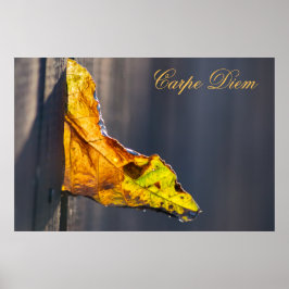 Poster Carpe Diem personalizável com folha colorida Poste
