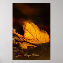 Carpe Diem personalizável com folha colorida Poste