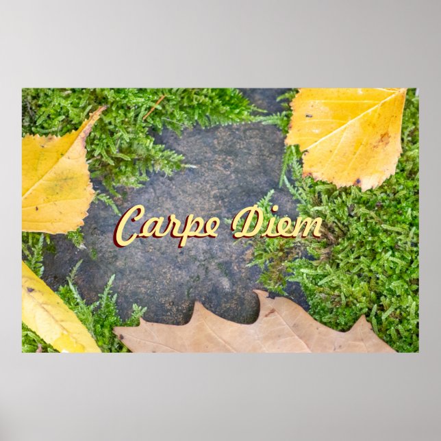 Poster Carpe Diem personalizável com folhas coloridas (Frente)
