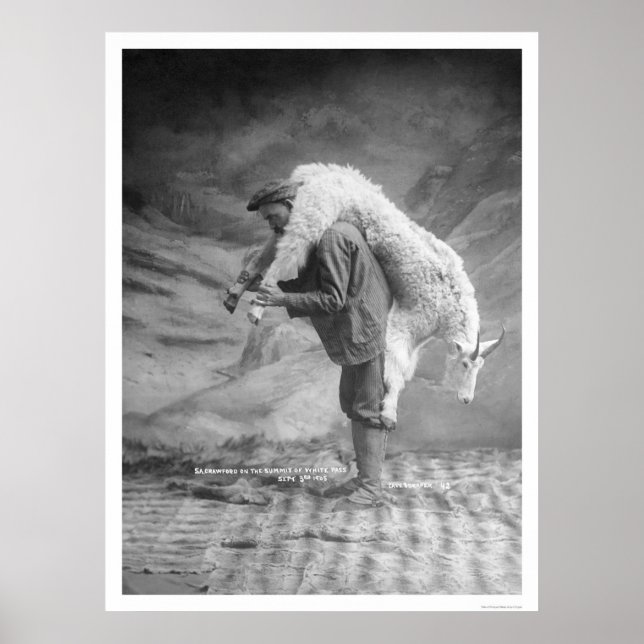 Pôster Carregando no Alasca 1905 (Frente)