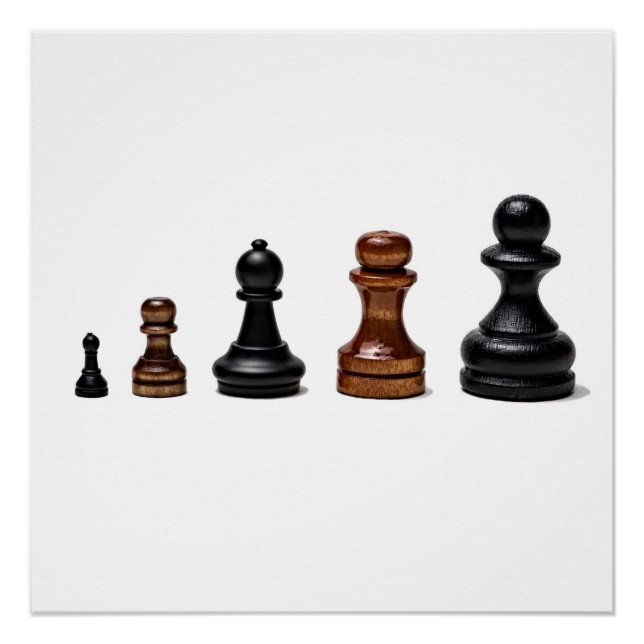 Pôster Carreira (Frente)