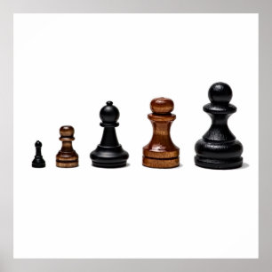 Pôster Carreira profissional