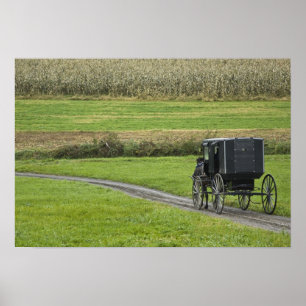Pôster Carrinho de Amish na pista da fazenda, Ohio do