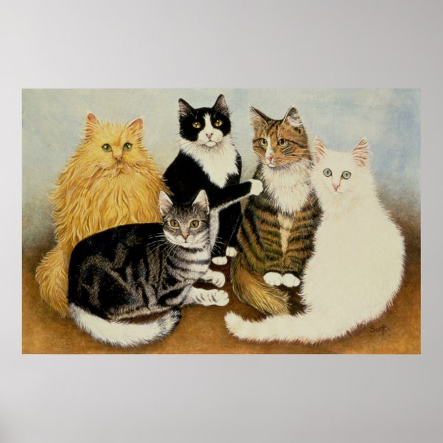 Pôster Carrinho de Gato (Frente)