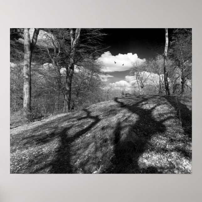 Pôster Carrion. (Frente)