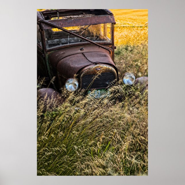Poster Carro velho abandonado em grama alta (Frente)