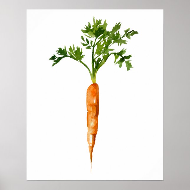 Poster Carrot Orgânico de Aquarela (Frente)
