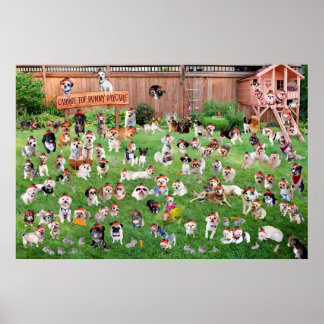 Poster Carrot Top Bunny Daycare 2015