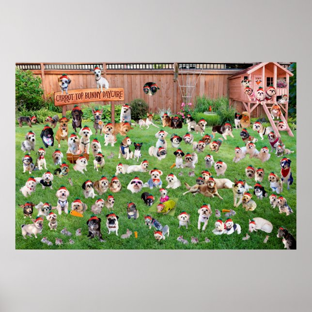Poster Carrot Top Bunny Daycare 2015 (Frente)