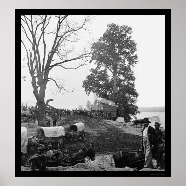 Pôster Carruagem da Campanha de Natureza Selvagem de Gran (Frente)