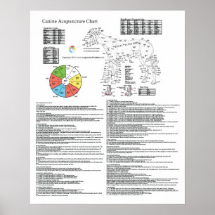 Pôster Carta da acupunctura do Acupressure do cão