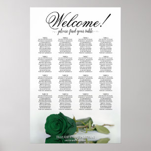 Poster Carta de Assentos de Mesa Elegante Rosa Verde Esme