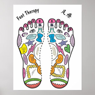 Poster Carta do Reflexology do pé