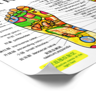 Poster Carta do Reflexology do pé
