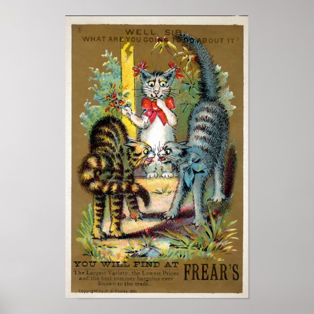 Poster Cartão Comercial Frears Cat. 3 (de 6) (Frente)