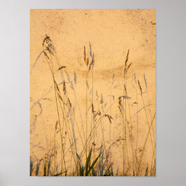 Poster Cartão-Postal De Graus E Sombras