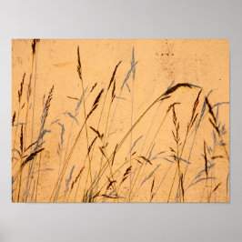 Poster Cartão-Postal De Graus E Sombras