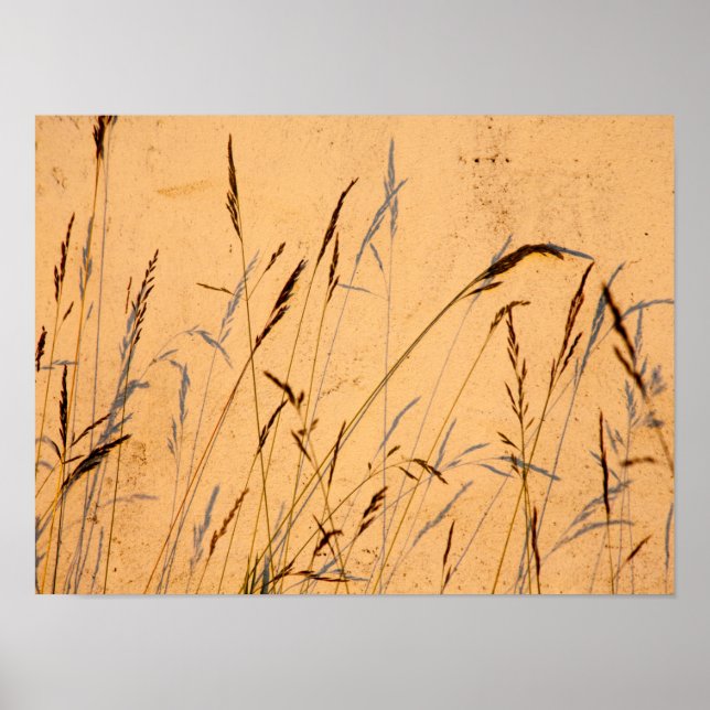 Poster Cartão-Postal De Graus E Sombras (Frente)