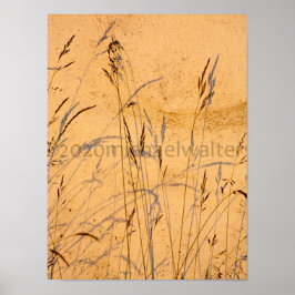 Poster Cartão-Postal De Graus E Sombras