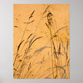 Poster Cartão-Postal De Graus E Sombras