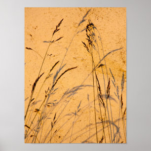 Poster Cartão-Postal De Graus E Sombras