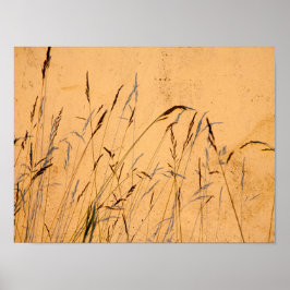 Poster Cartão-Postal De Graus E Sombras