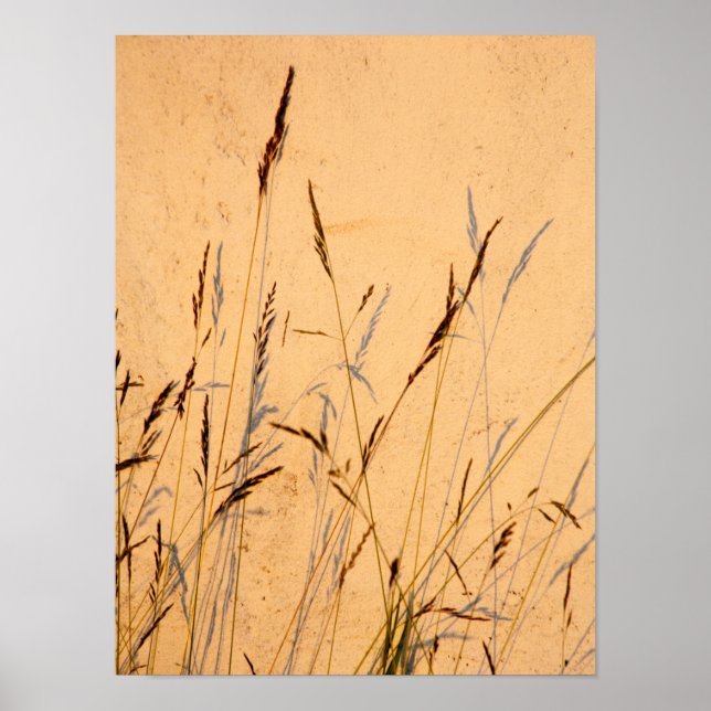 Poster Cartão-Postal De Graus E Sombras (Frente)