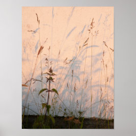 Poster Cartão-Postal De Graus E Sombras