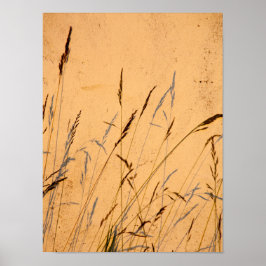 Poster Cartão-Postal De Graus E Sombras