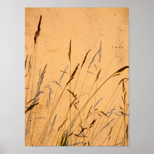 Poster Cartão-Postal De Graus E Sombras
