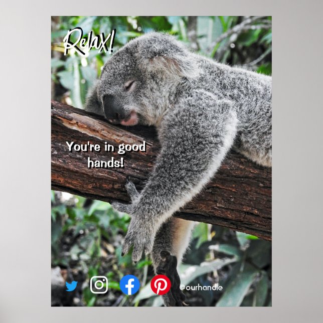 Poster cartão postal de imóveis engraçado relaxado koala (Frente)