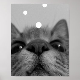 Poster Cartão postal de rosto preto&branco