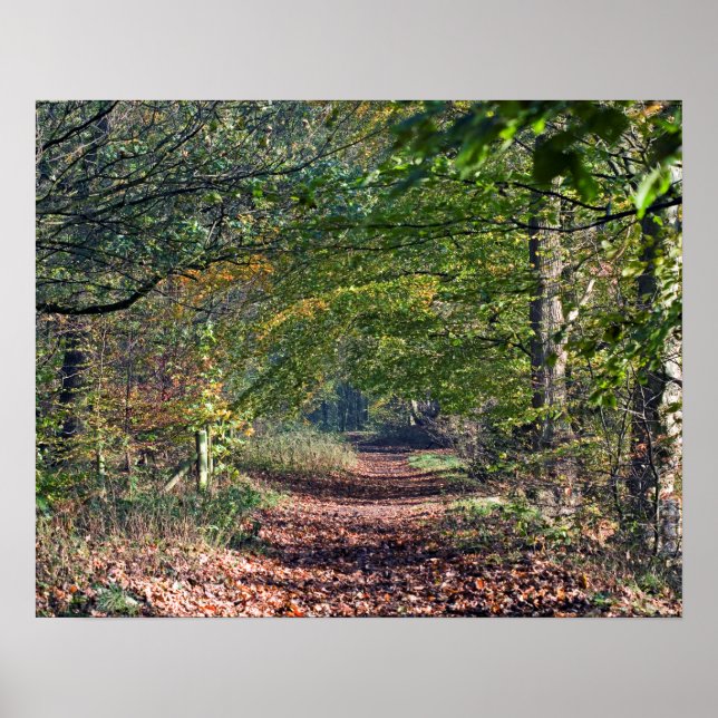 Poster Cartão postal do Autumn Pegpath Poynton Cheshire (Frente)