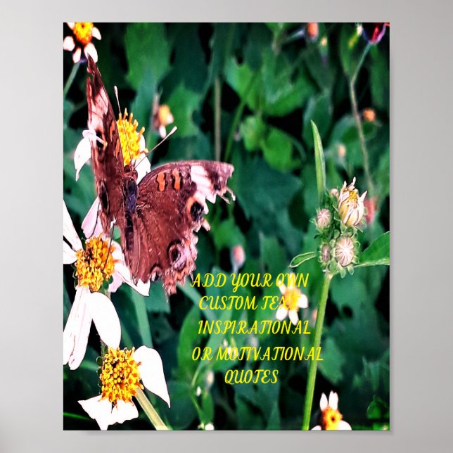 Poster Cartão-postal dos melhores desejos e abraços (Frente)