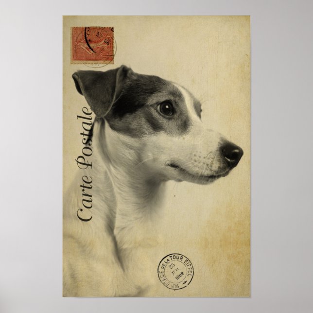 Poster Cartão-postal Jack Russell Vintage (Frente)