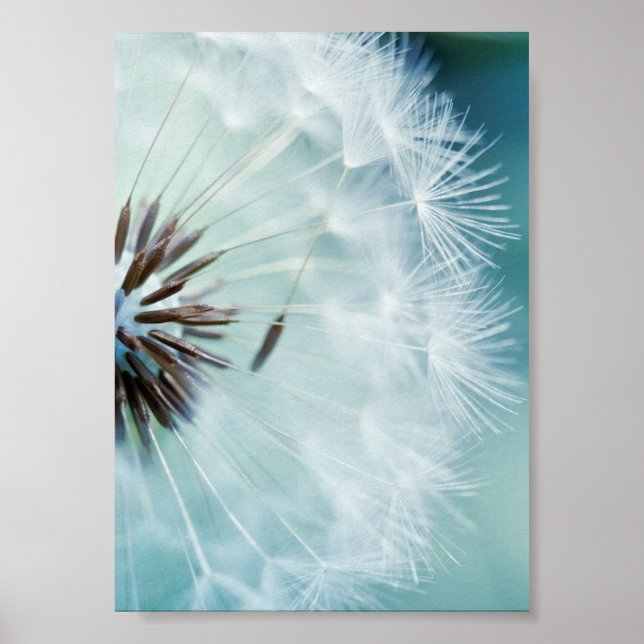 Poster Cartaz - Azul Fresco (Frente)