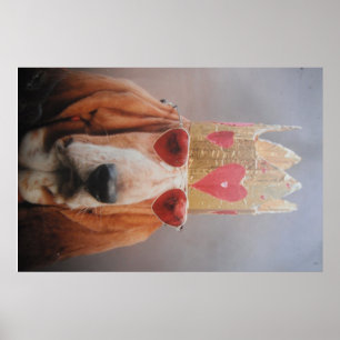 Pôster Cartaz Basset Hound King