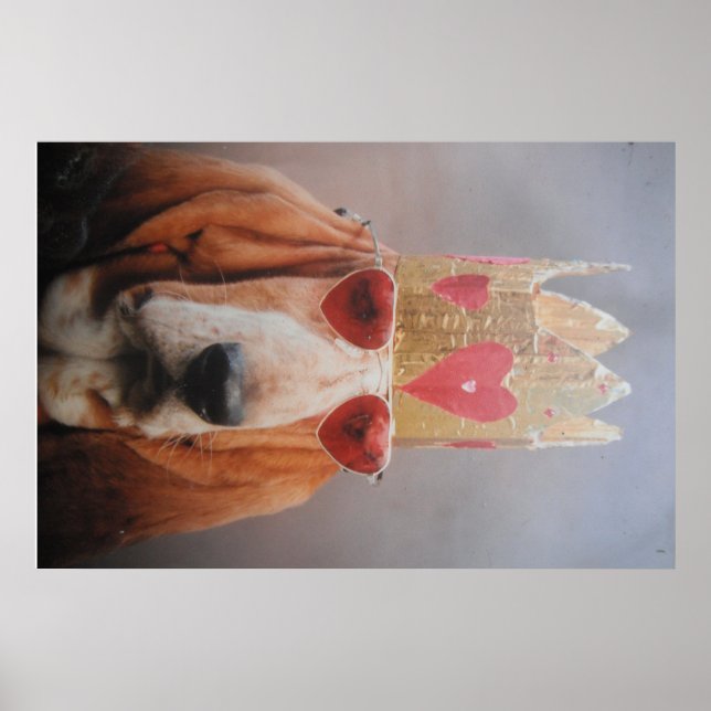 Pôster Cartaz Basset Hound King (Frente)