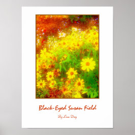 Poster Cartaz 'Black-Eyed Susan Field'