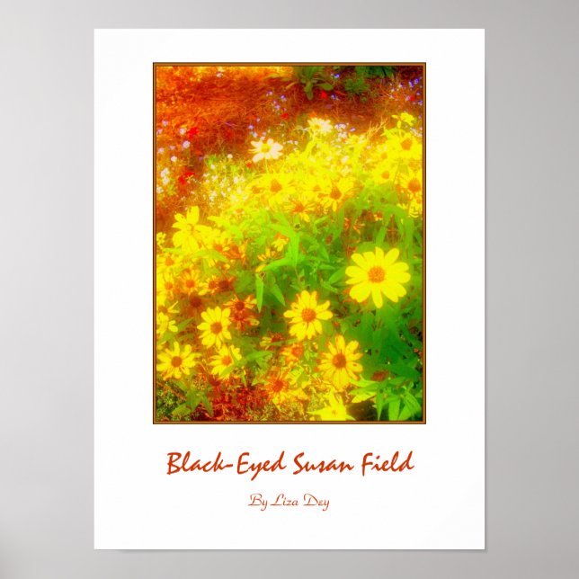 Poster Cartaz 'Black-Eyed Susan Field' (Frente)